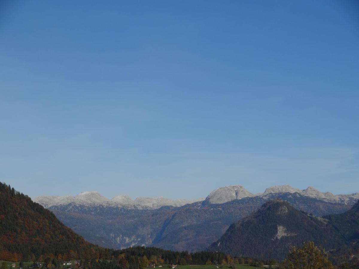 Appartement Stangl - Hof Bad Aussee