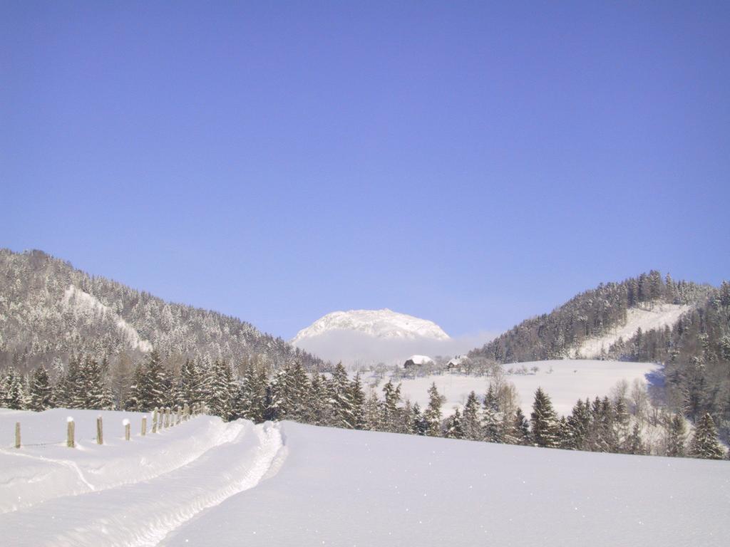 Appartement Stangl - Hof Bad Aussee