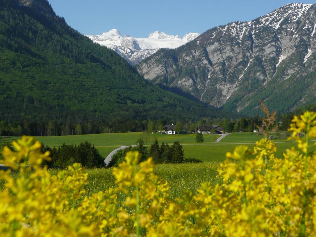 Stangl - Hof Appartement *