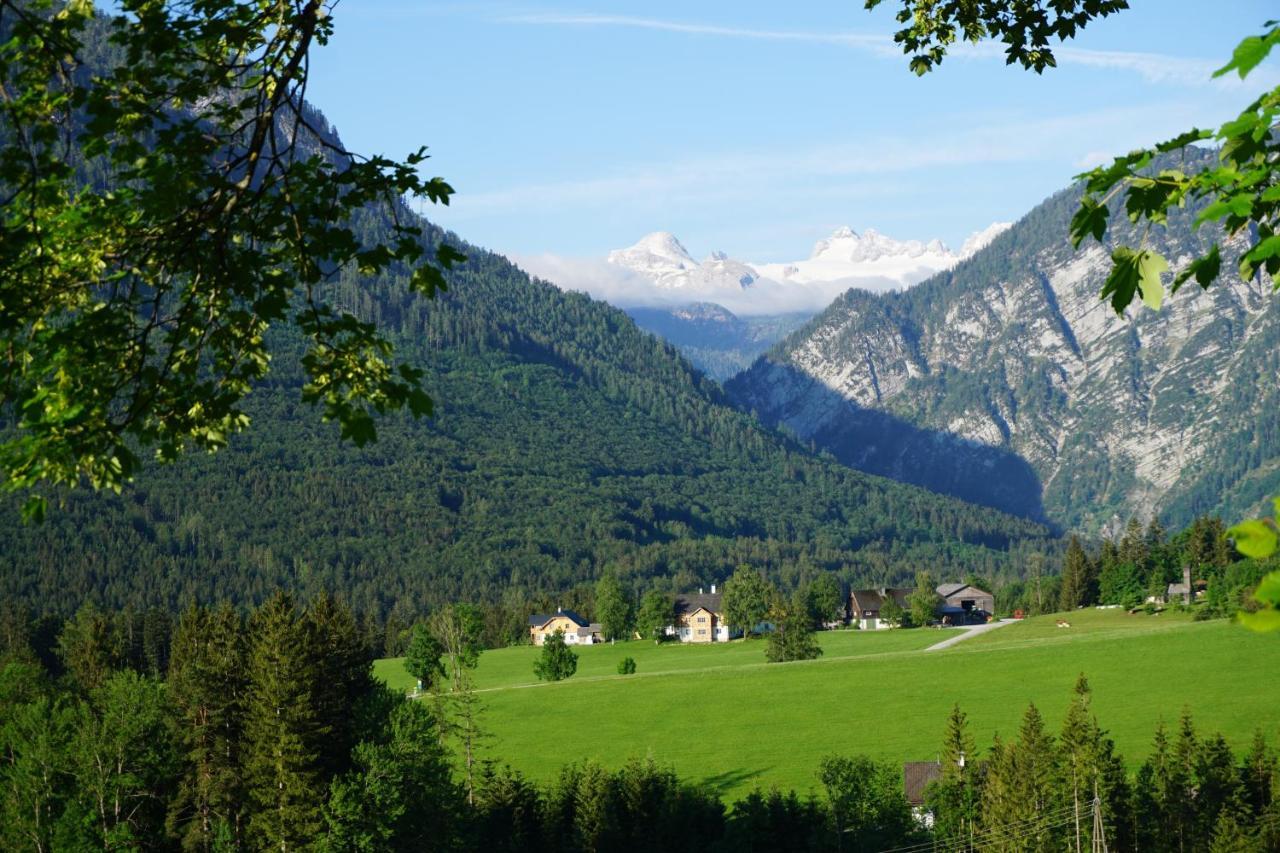 Stangl - Hof