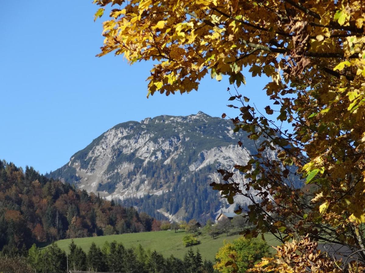 Stangl - Hof Apartment Bad Aussee