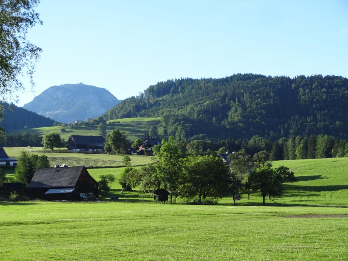 Stangl - Hof