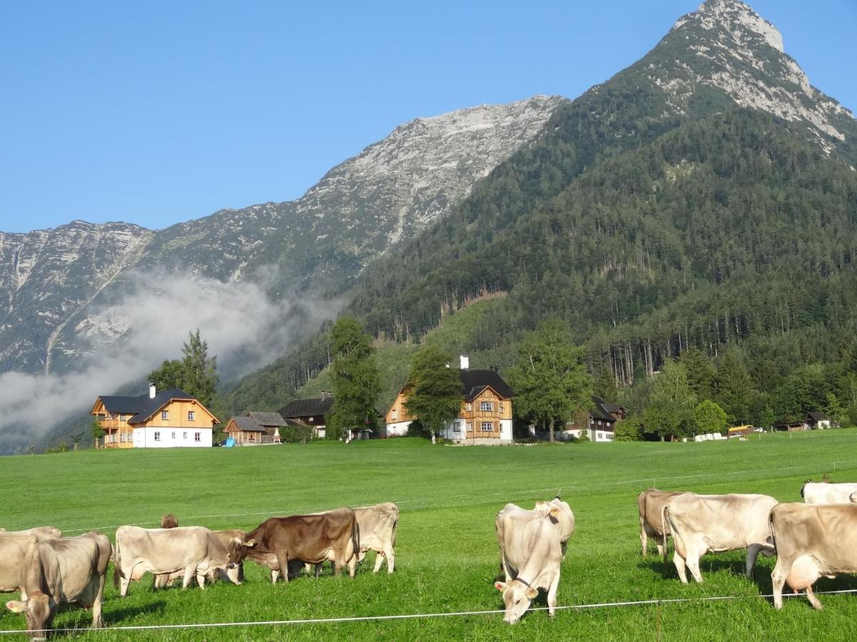 Stangl - Hof Bad Aussee