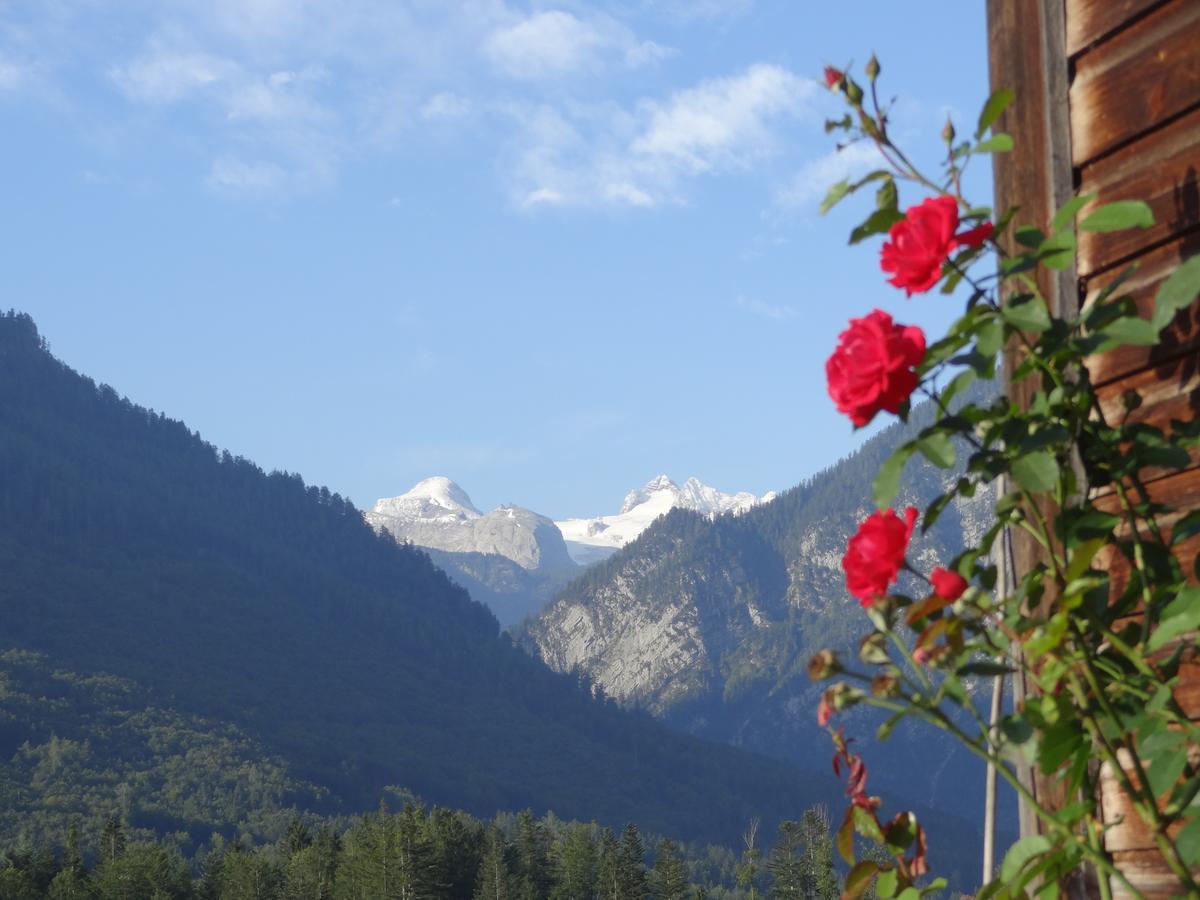 Appartement Stangl - Hof